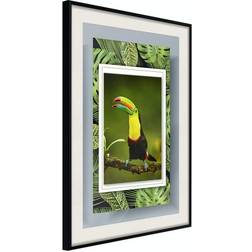 Arkiio Affisch Toucan [Poster] 20x30 Poster